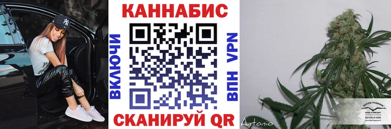 Каннабис индика  Новая Ляля 